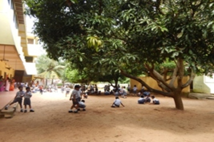 Chinmaya Vidyalaya-Playing Area