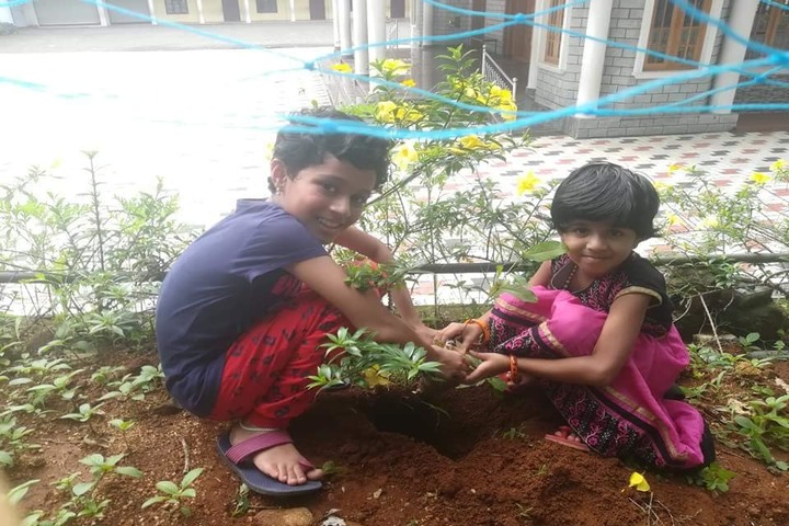 Christhujyothi English Medium School-Plantation