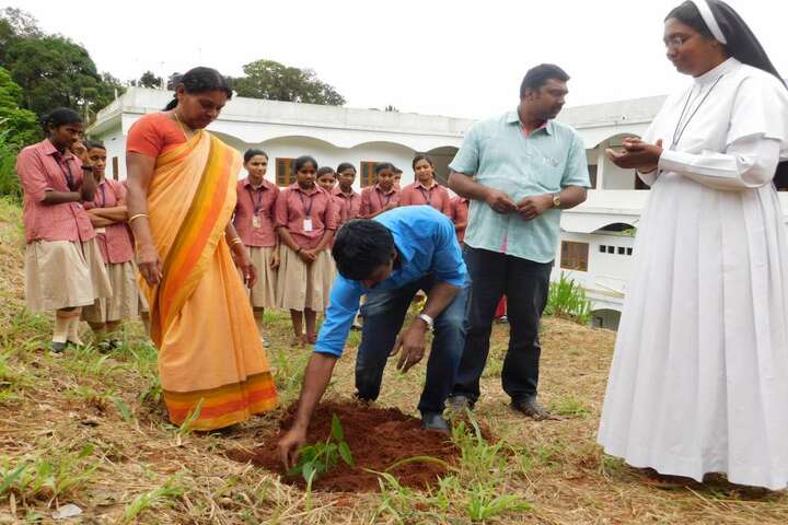 Christu Jyothi Public School-Tree Plantation