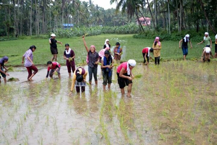 CMI Christ School-Field Work