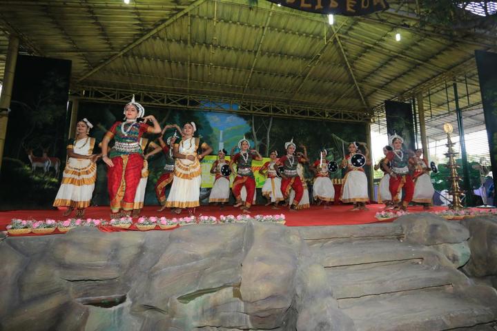CMI Public School-Cultural Fest