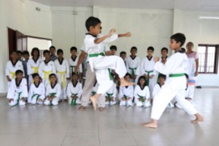 CMI Public School-Karate Activity