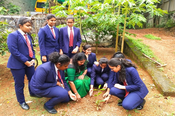Dawn International School-Tree Plantation
