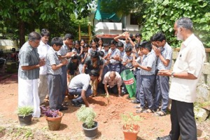Dr. N. International School-Tree Plantation