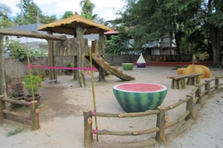 Dr. N. International School-Playground