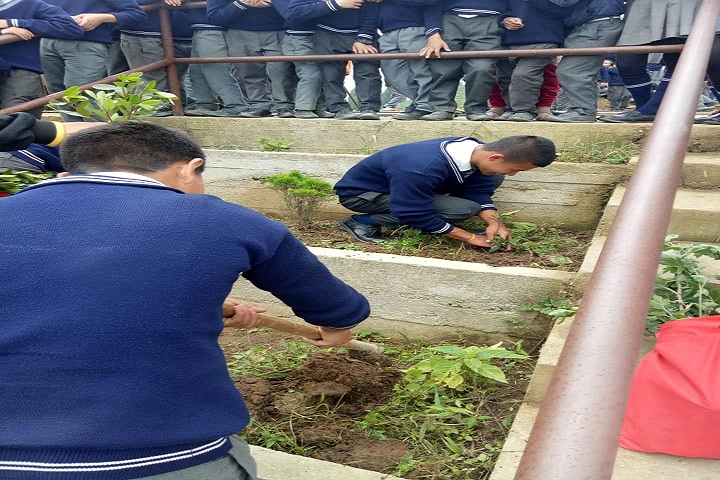 East Point English Medium School-Tree plantations