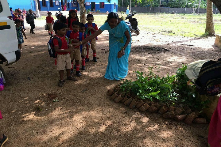 Fr Xavier Aresseril Memorial English Medium School-Tree Planting