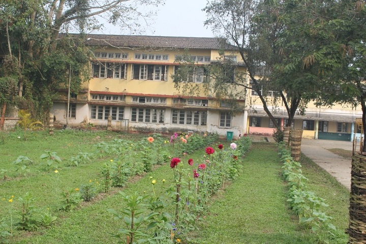 Kendriya Vidyalaya-Campus View
