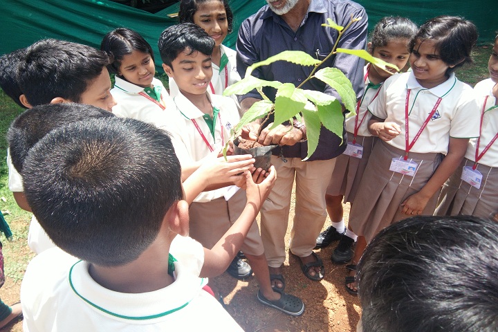 Global Public School-World environment