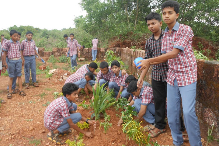 Gracious English Medium School-Environment day