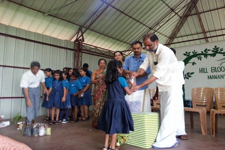 Hill Blooms School-World environment day