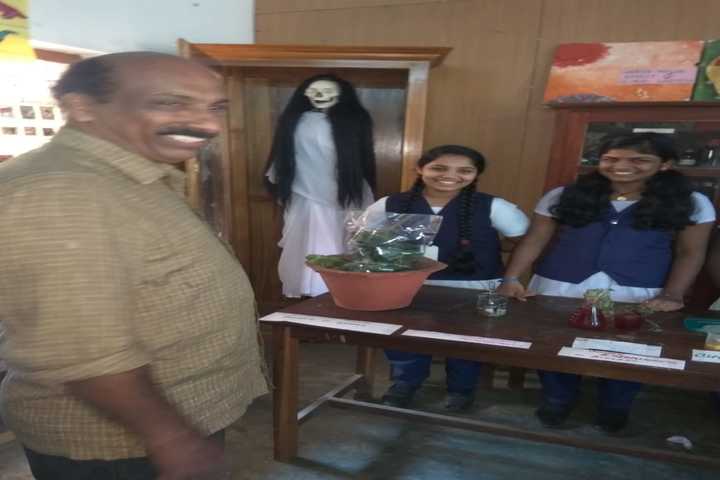 Holy Angels English School-Science Exhibition