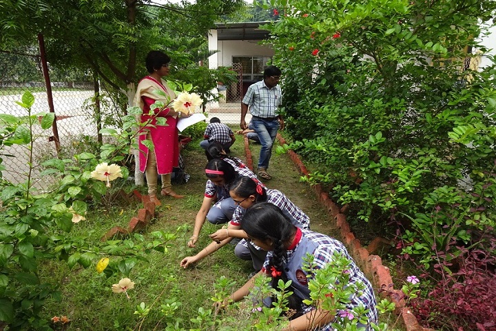Kendriya Vidyalaya-Plantation