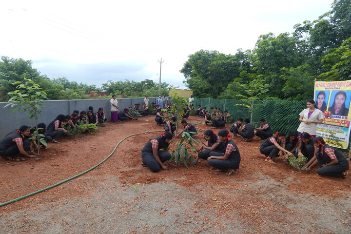 Holy Family Convent Public Scool-Enviornment Day