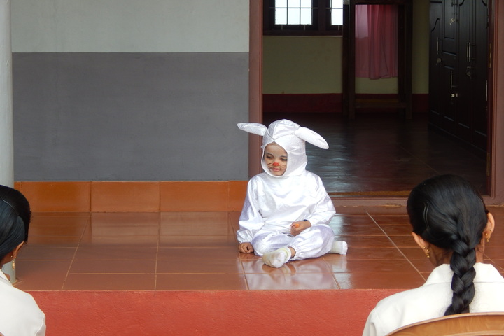 Holy Family Convent Public Scool-Fancy Dress Competition