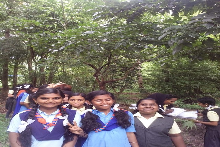Holy Trinity Vidya Bhavan-Scouts and Guide