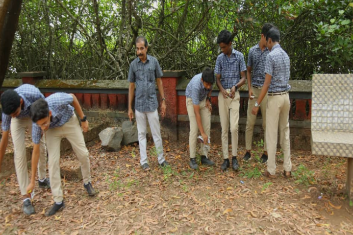 I S D English School-Swatch Bharath
