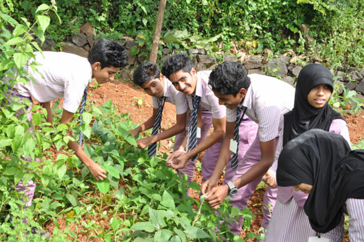 I G English School-Field Work