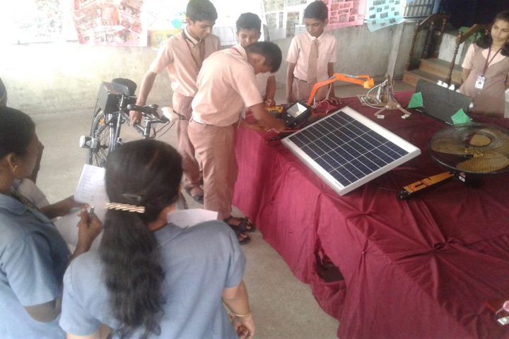 Isabella De Rosis Public School-Science Exhibition
