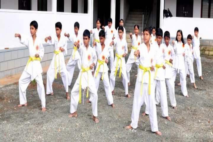 Jai Rani Sabs Public Scool-Karate
