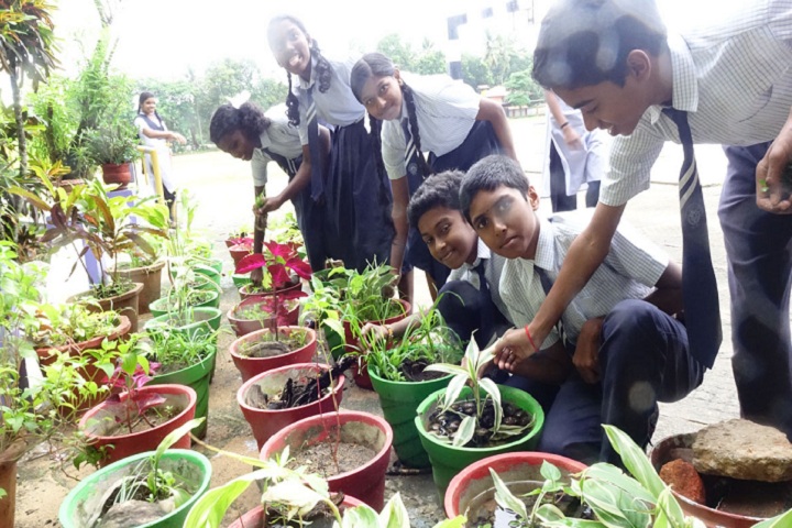 Jawahar Navodaya Vidyalaya-Others plantation