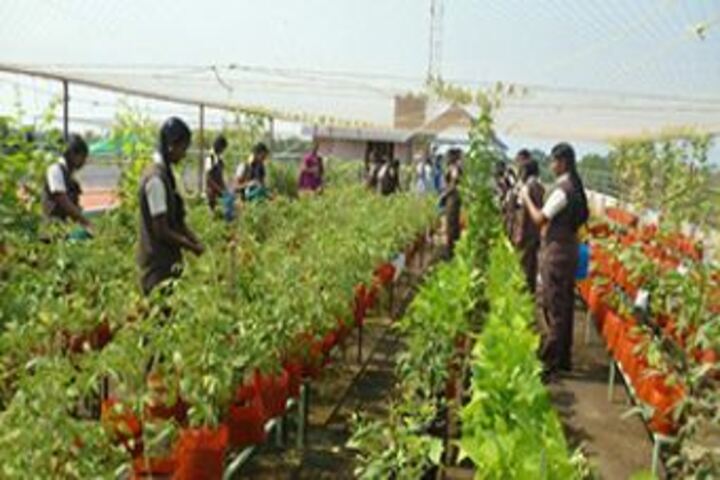 Jyothi Nikethan English Medium School-Environment Day