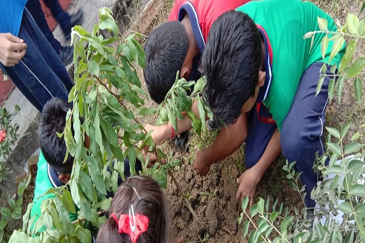 Kendriya Vidyalaya- Plantation