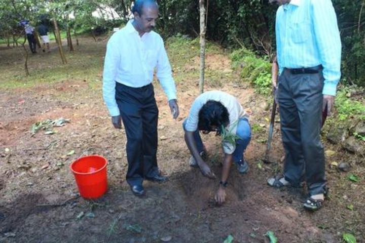 Kailasanadha Vidyanikethan-Plantation Day