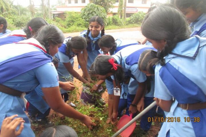 Kendriya Vidyalaya No 2-Plantation Day