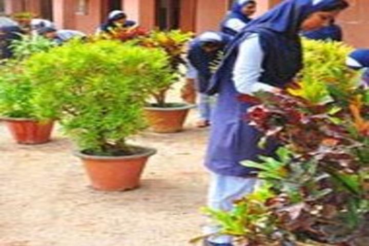 KMJ Central School-Plantation Day