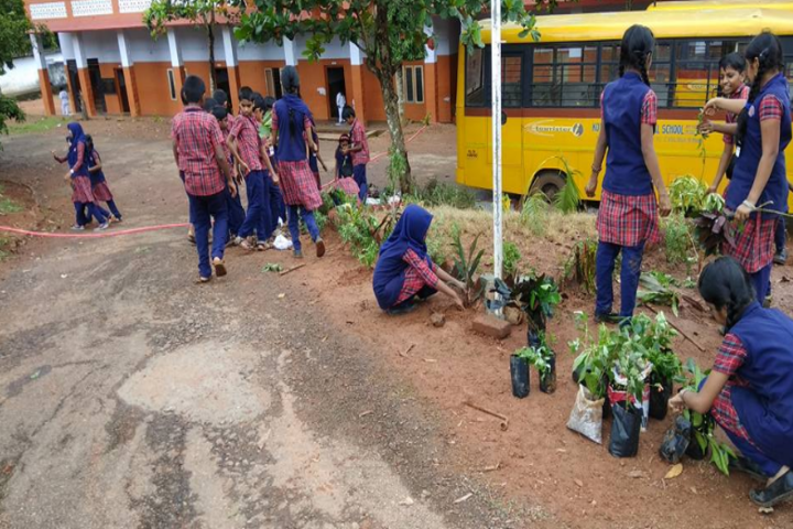Kottappuram Central School-Tree Plantation