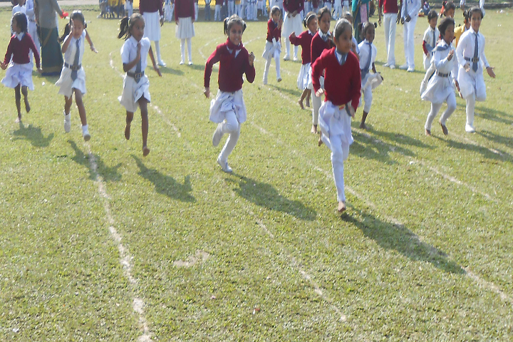 Lotus Academy- Sports