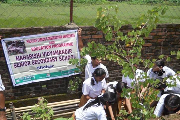 Maharshi Vidya Mandir- Environment Day