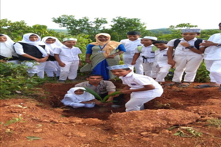 Majmaa Central School-Tree Plantation