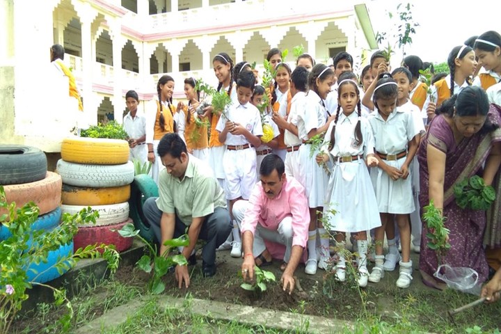 Maharshi Vidya Mandir- Go Green