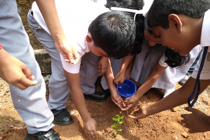 Mar Gregorious Memorial Residential Public School-Tree Plantation