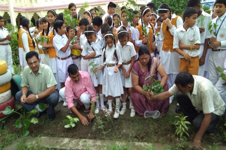 Maharshi Vidya Mandir- Environment Day