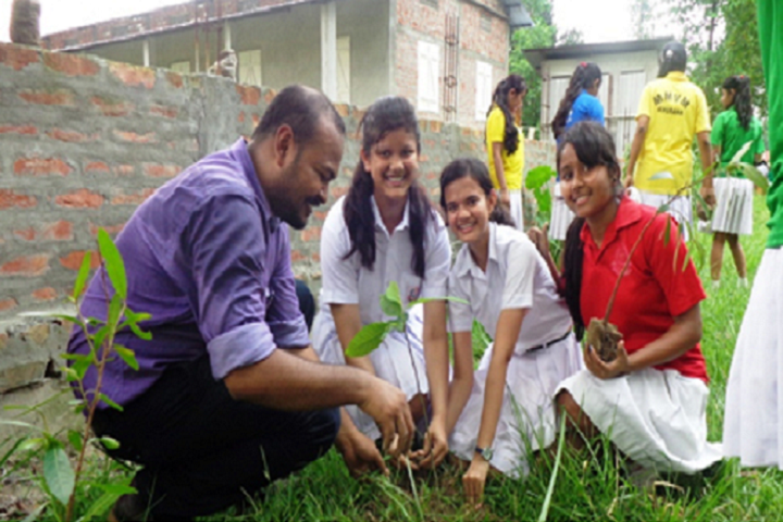 Mangaldai Maharishi Vidya Mandir-Plantation