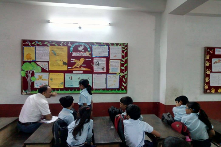 Modern English School- Science Wall Board Display