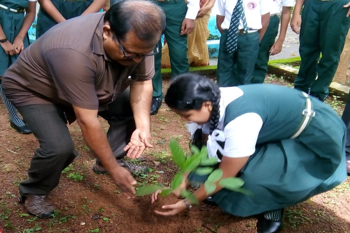 Mother India International Residential Public School-Plantation