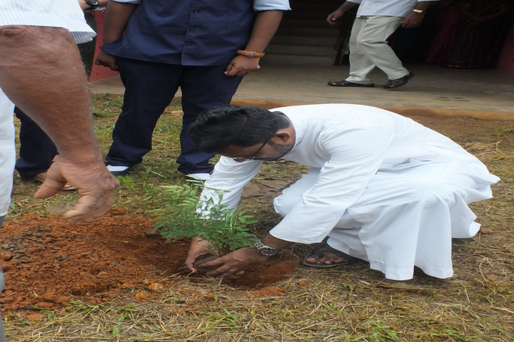 Mount Mary Public School-Plantation
