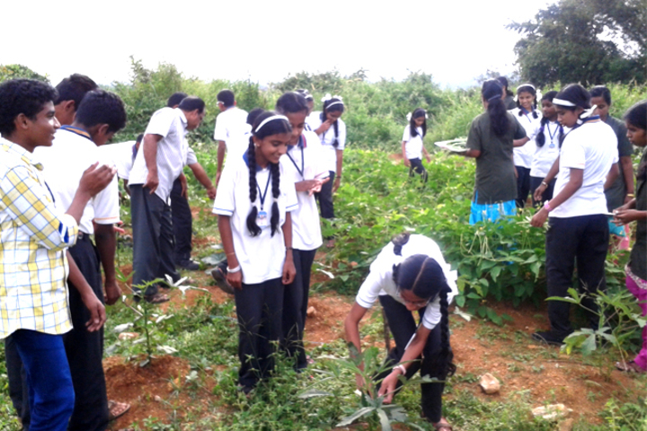 Mount Thabore Central School-Activity