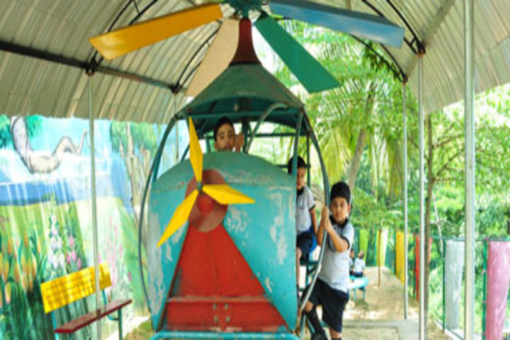 Peace International School-Play Area