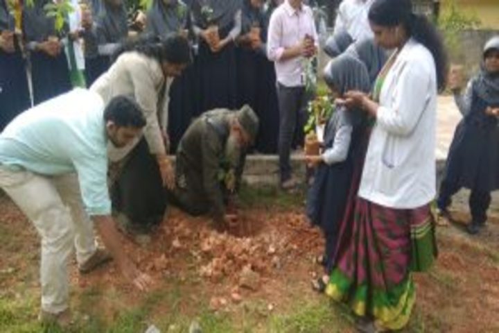 Peace International School-World Environment Day