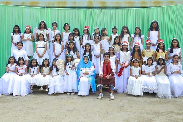 S N Vidya Bhavan Senior Secondary School-Fancy Dress
