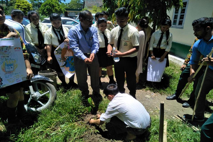 Pinewood Residential School- Plantation