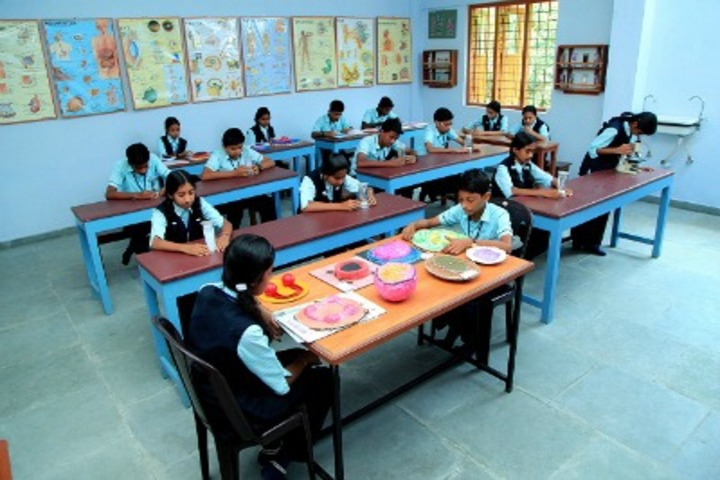 St Josephs Public School-Biology Lab