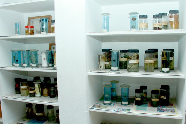 St Jude Public School-Biology Lab