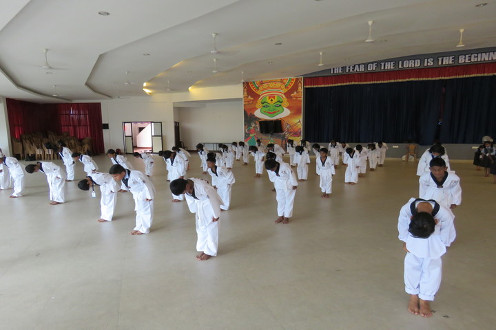 St Julianas Public School-Takewonda