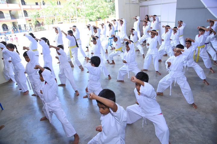 St Xavier s Public School-Karate
